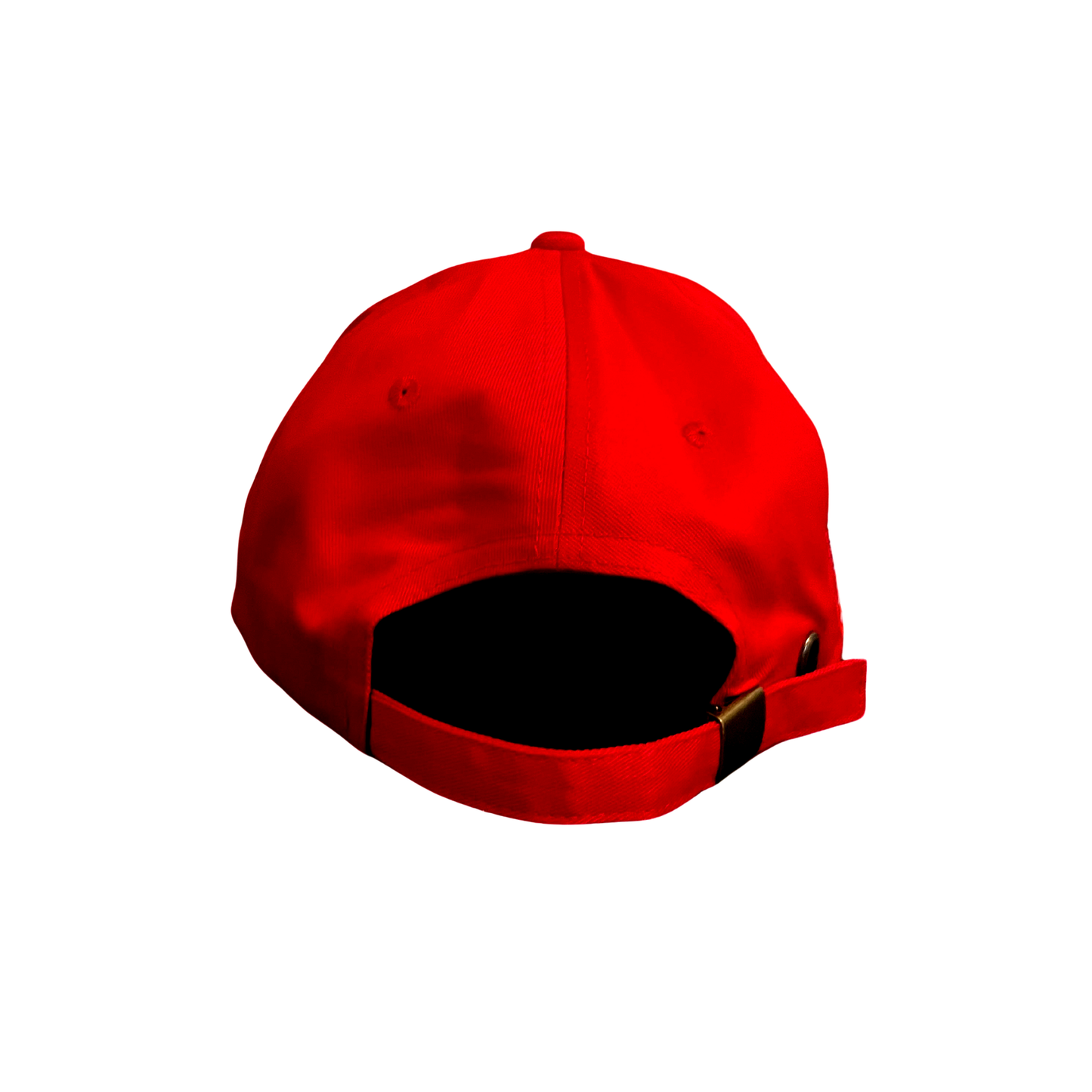 Jesus For Trump Hat